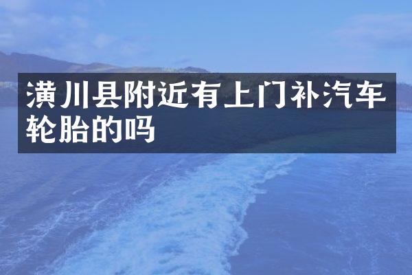 潢川县附近有上门补汽车轮胎的吗