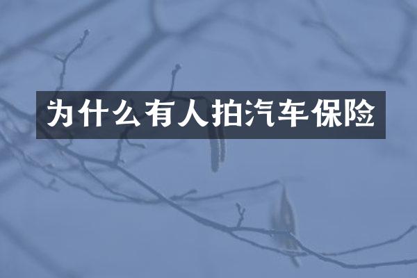 为什么有人拍汽车保险