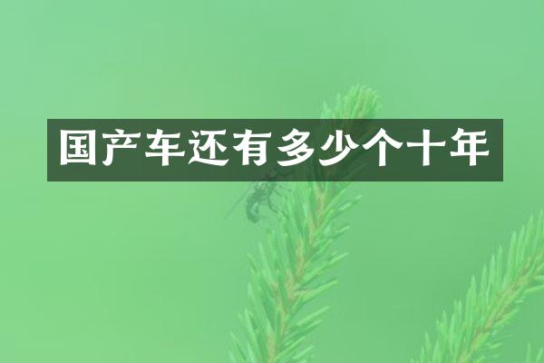 国产车还有多少个十年
