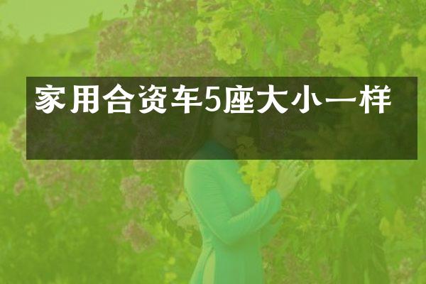 家用合资车5座大小一样吗