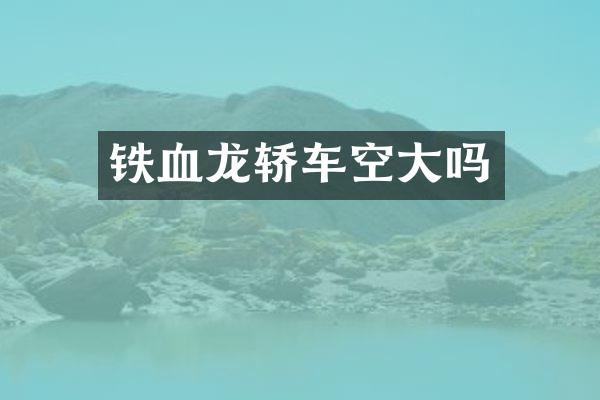 铁血龙轿车空大吗