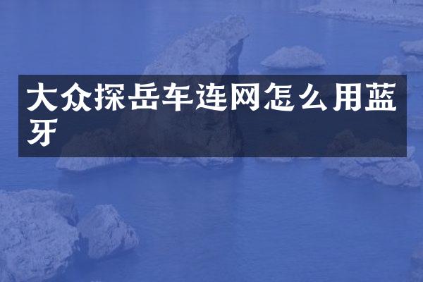 大众探岳车连网怎么用蓝牙