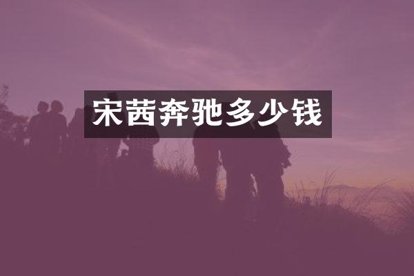 宋茜奔驰多少钱