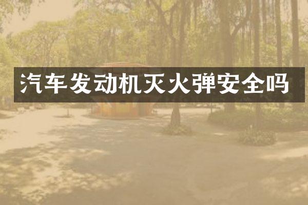 汽车发动机灭火弹安全吗
