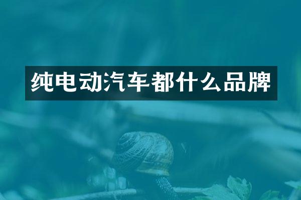 纯电动汽车都什么品牌
