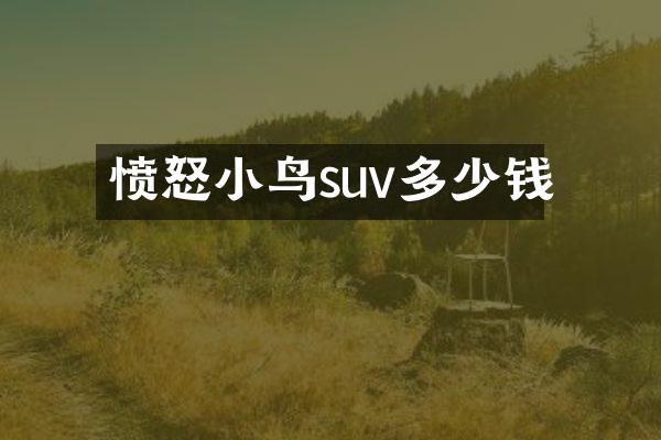 愤怒小鸟suv多少钱