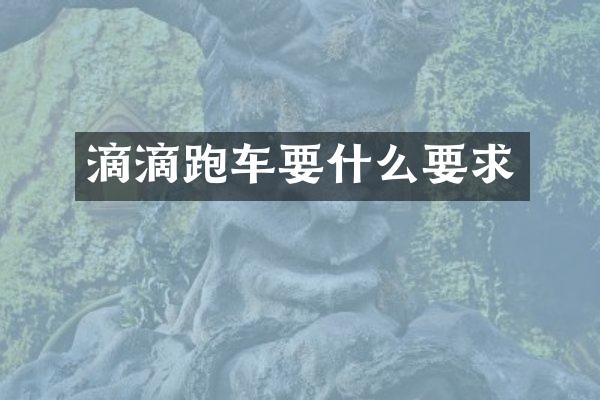 滴滴跑车要什么要求