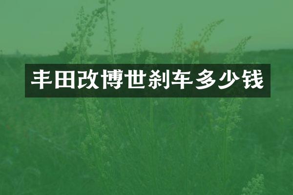 丰田改博世刹车多少钱