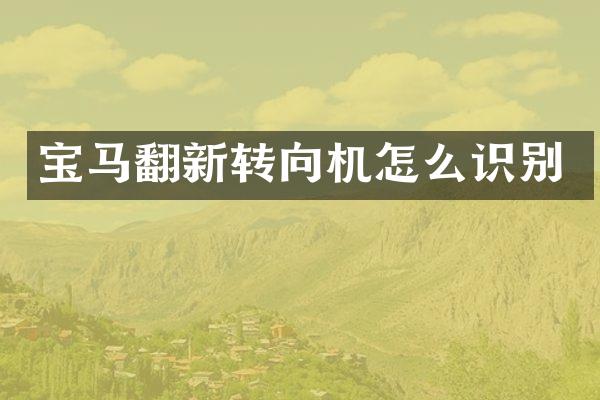 宝马翻新转向机怎么识别