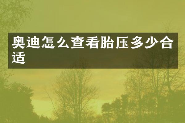 奥迪怎么查看胎压多少合适