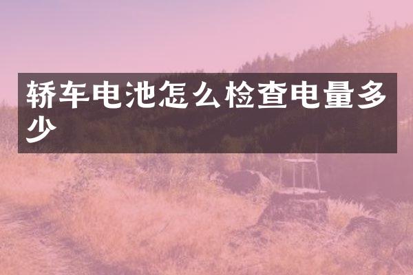 轿车电池怎么检查电量多少