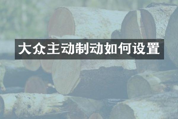 大众主动制动如何设置