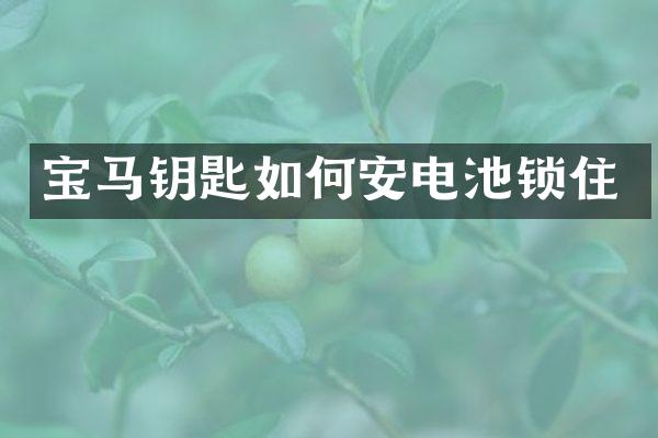 宝马钥匙如何安电池锁住