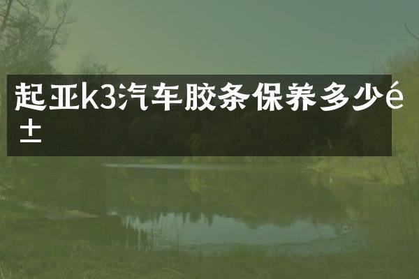 起亚k3汽车胶条保养多少钱