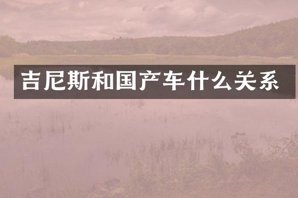 吉尼斯和国产车什么关系