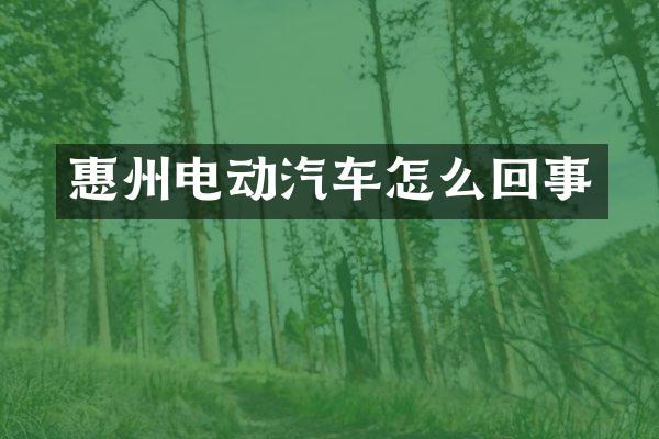 惠州电动汽车怎么回事