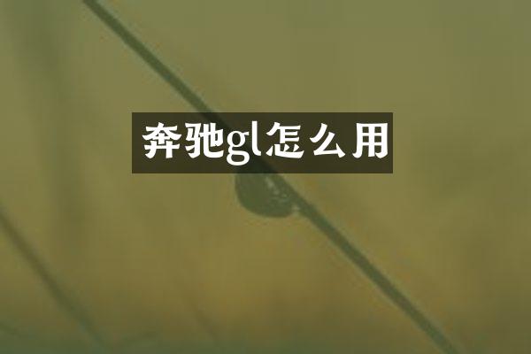 奔驰gl怎么用