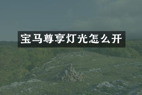 宝马尊享灯光怎么开