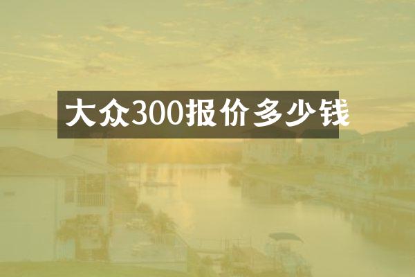 大众300报价多少钱