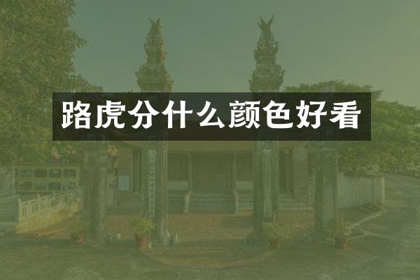 路虎分什么颜色好看