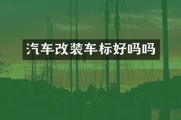 汽车改装车标好吗吗