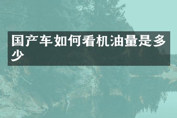 国产车如何看机油量是多少