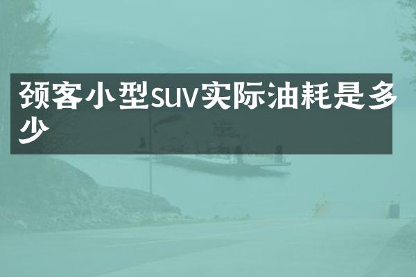 颈客小型suv实际油耗是多少