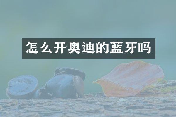 怎么开奥迪的蓝牙吗