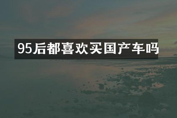 95后都喜欢买国产车吗