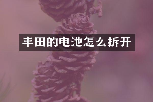 丰田的电池怎么拆开