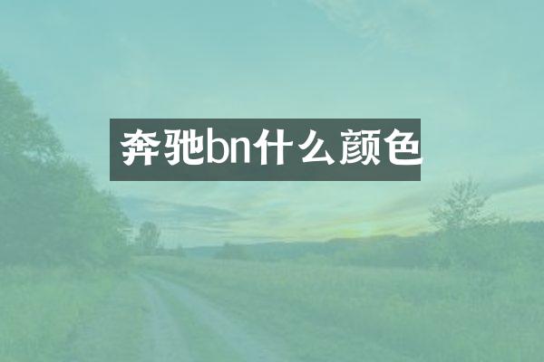 奔驰bn什么颜色