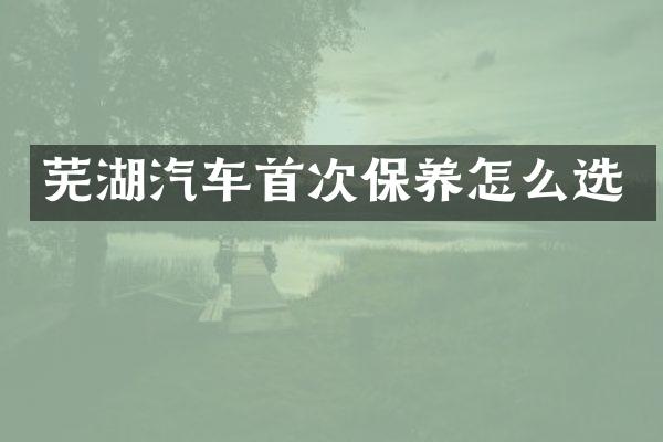 芜湖汽车首次保养怎么选