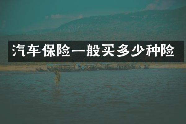 汽车保险一般买多少种险