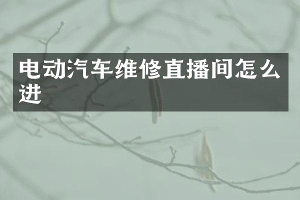 电动汽车维修直播间怎么进