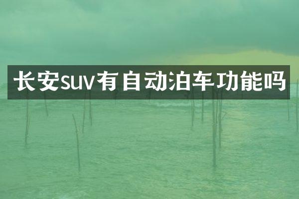 长安suv有自动泊车功能吗