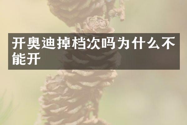 开奥迪掉档次吗为什么不能开