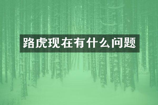 路虎现在有什么问题