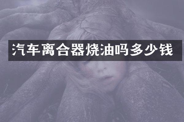 汽车离合器烧油吗多少钱