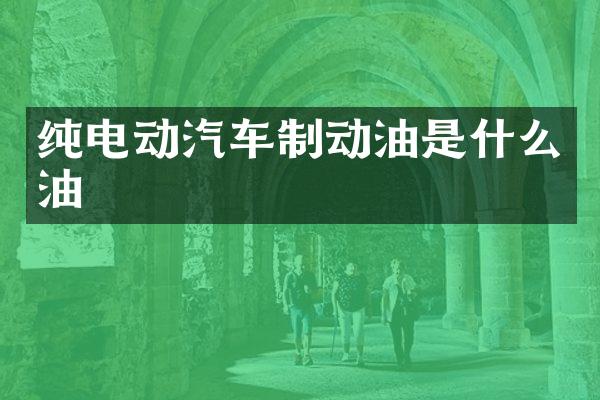 纯电动汽车制动油是什么油