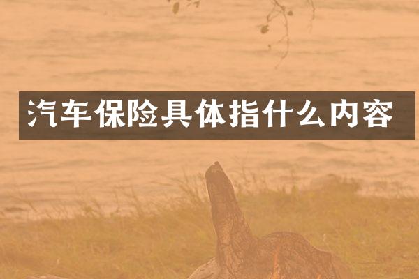 汽车保险具体指什么内容