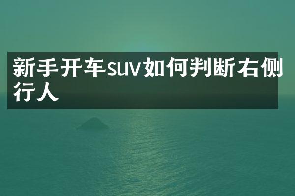 新手开车suv如何判断右侧行人
