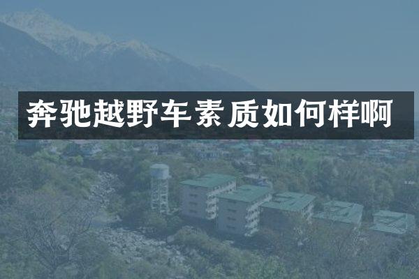 奔驰越野车素质如何样啊