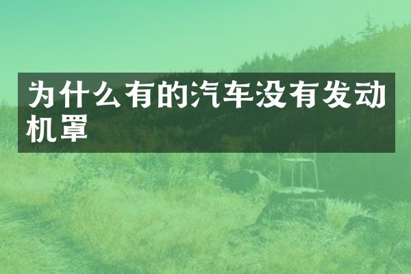 为什么有的汽车没有发动机罩