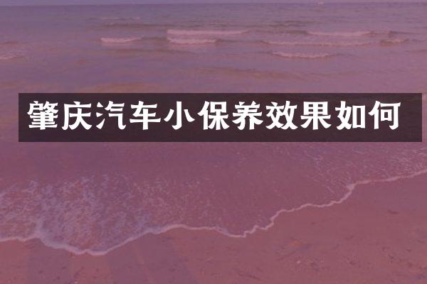 肇庆汽车小保养效果如何
