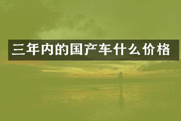 三年内的国产车什么价格