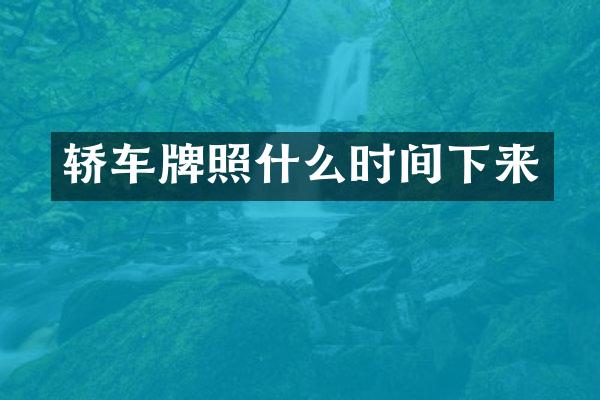 轿车牌照什么时间下来