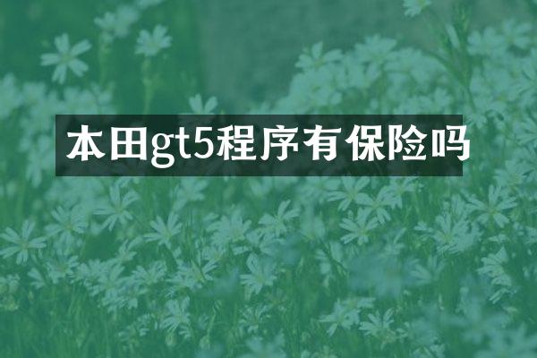 本田gt5程序有保险吗
