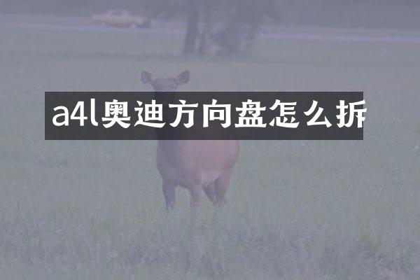 a4l奥迪方向盘怎么拆