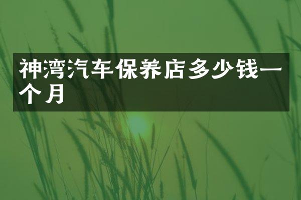 神湾汽车保养店多少钱一个月