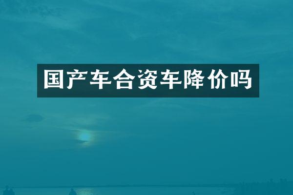 国产车合资车降价吗